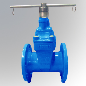 Resilient-Gate-Valve-With-L